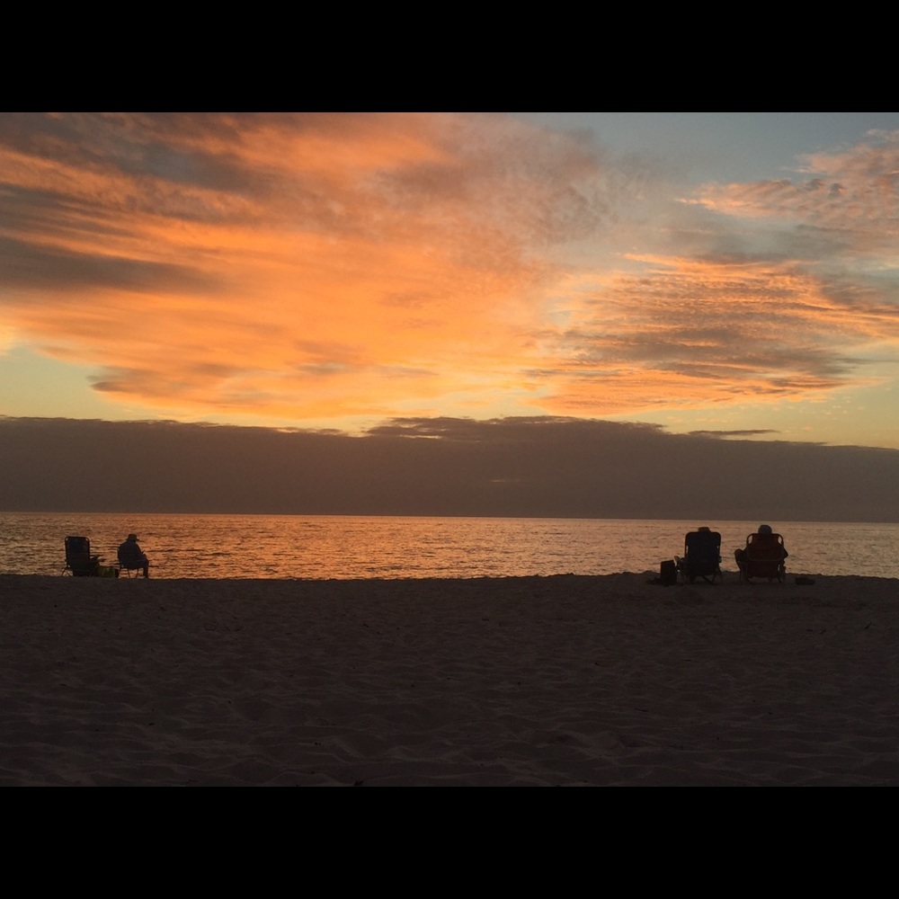 Meet your Posher, Raine🌴 - Picture 6 of 8